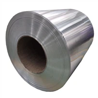 Txias Rolled Steel Chev Dc01