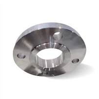 317 / 317L Stainless Hlau Flanges