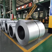 Spot Muag Kub Rolled Galvanized Coils